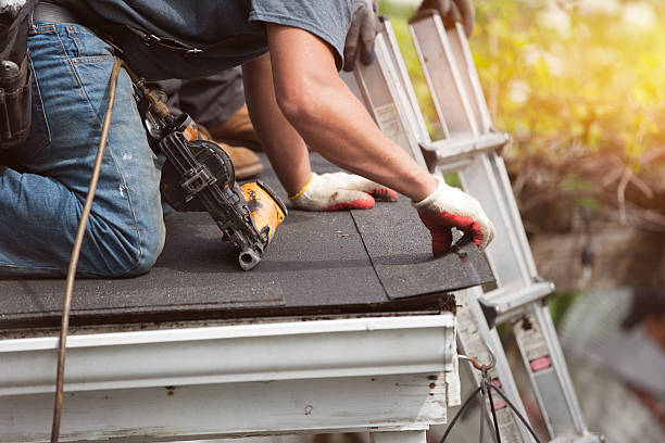 Best Roof Gutter Cleaning  in Vinton, IA